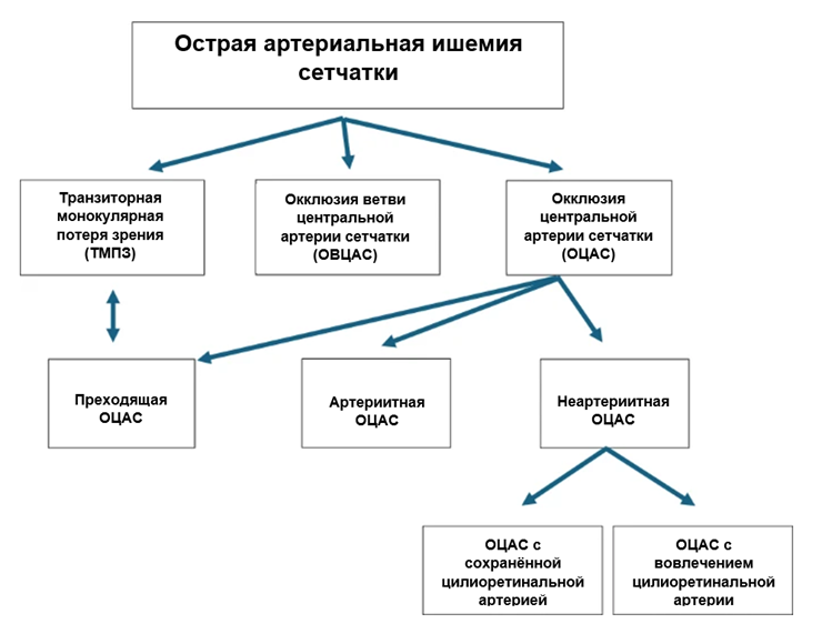 Иллюстрация из клинических рекомендаций