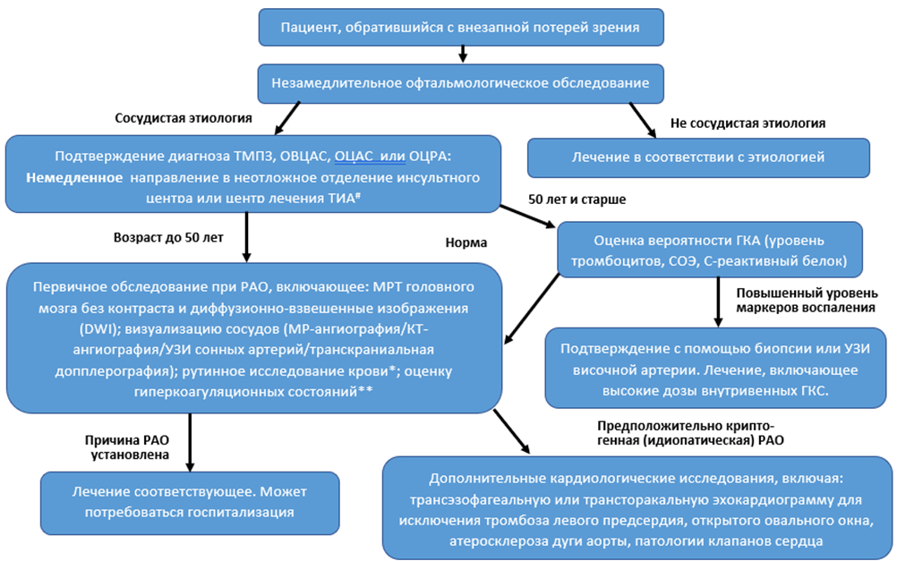 Иллюстрация из клинических рекомендаций