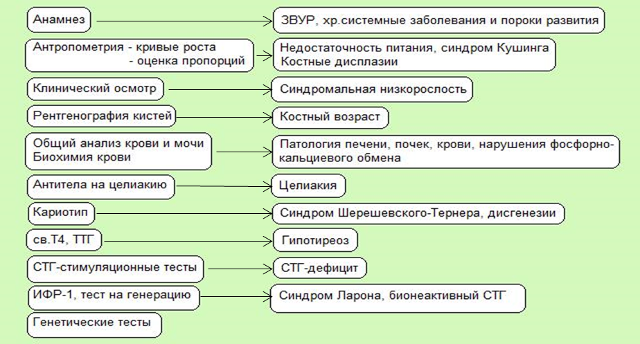 Иллюстрация из клинических рекомендаций
