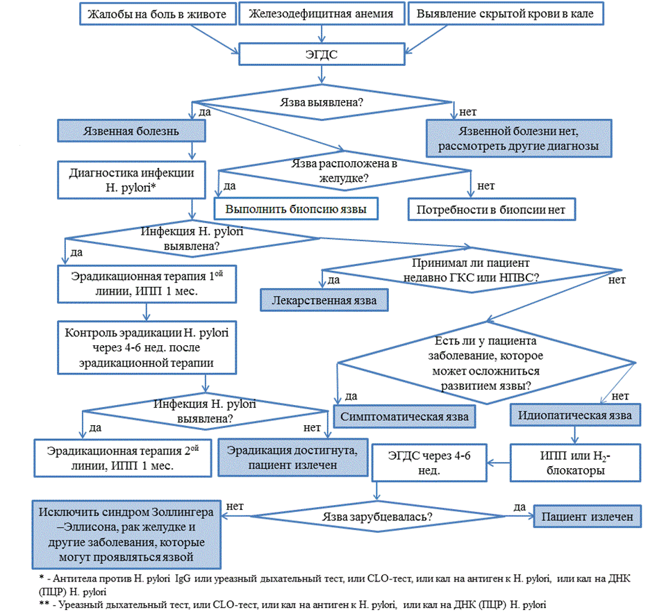 Иллюстрация из клинических рекомендаций