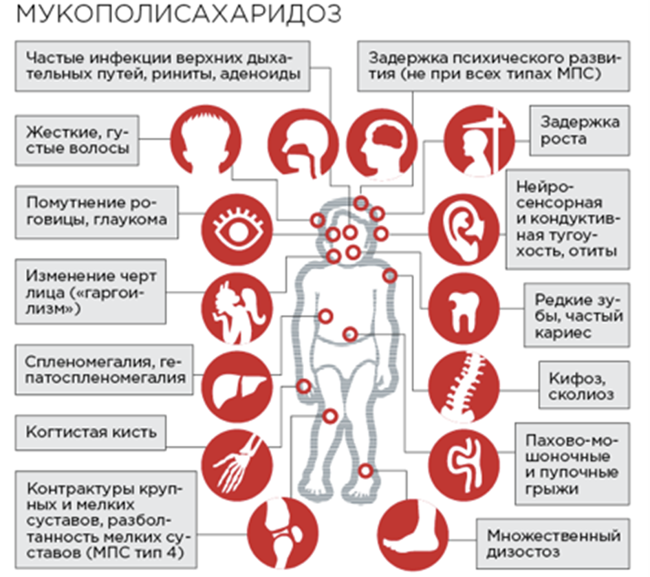 Иллюстрация из клинических рекомендаций