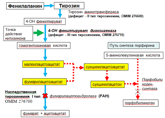 Иллюстрация из клинических рекомендаций