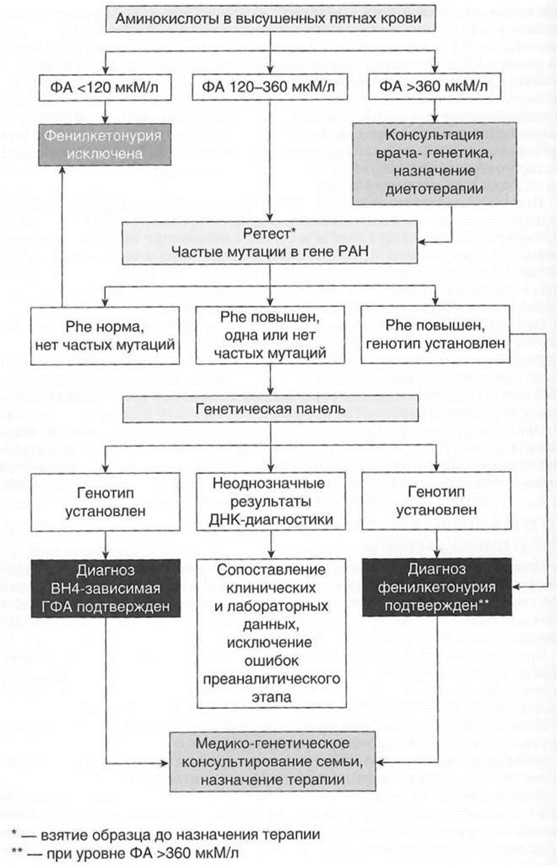 Иллюстрация из клинических рекомендаций