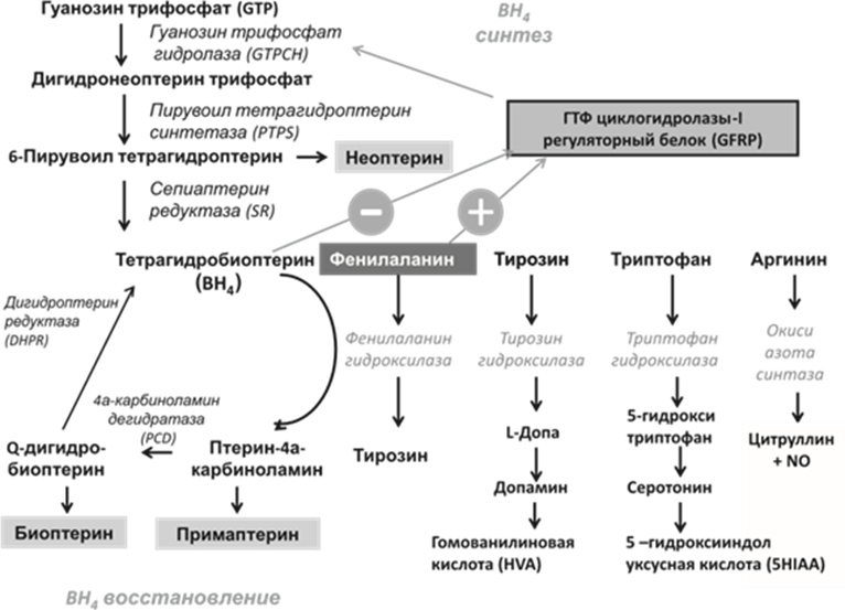 Иллюстрация из клинических рекомендаций