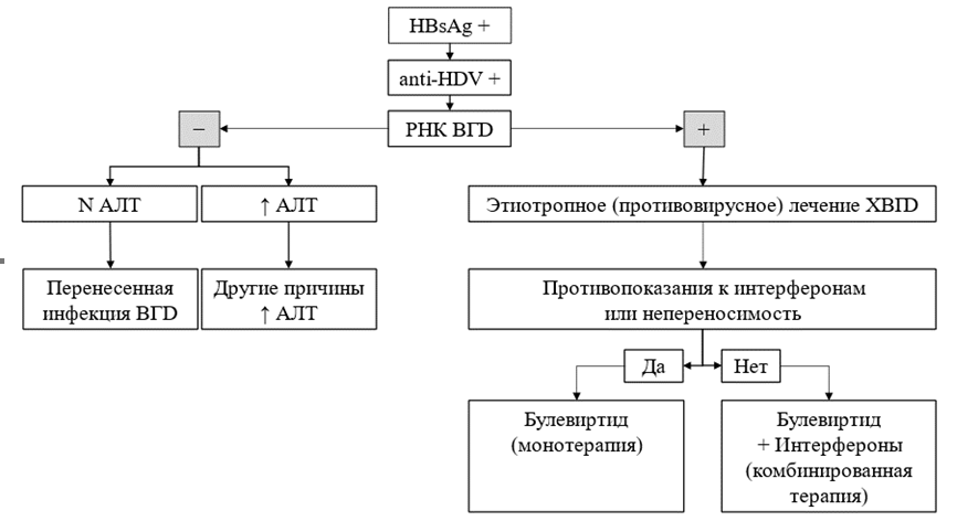 Иллюстрация из клинических рекомендаций