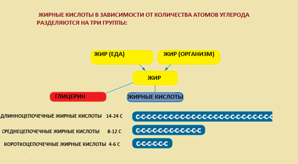 Иллюстрация из клинических рекомендаций