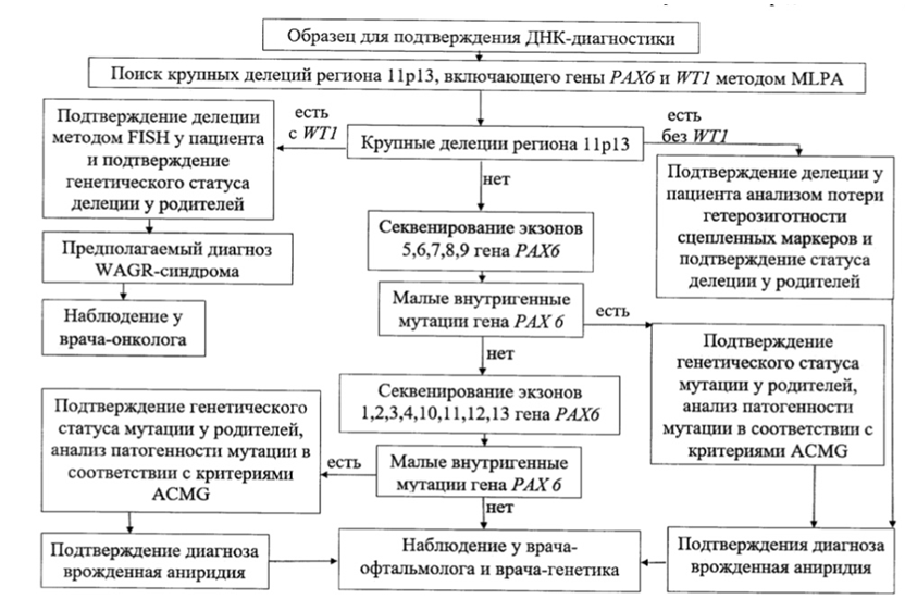 Иллюстрация из клинических рекомендаций