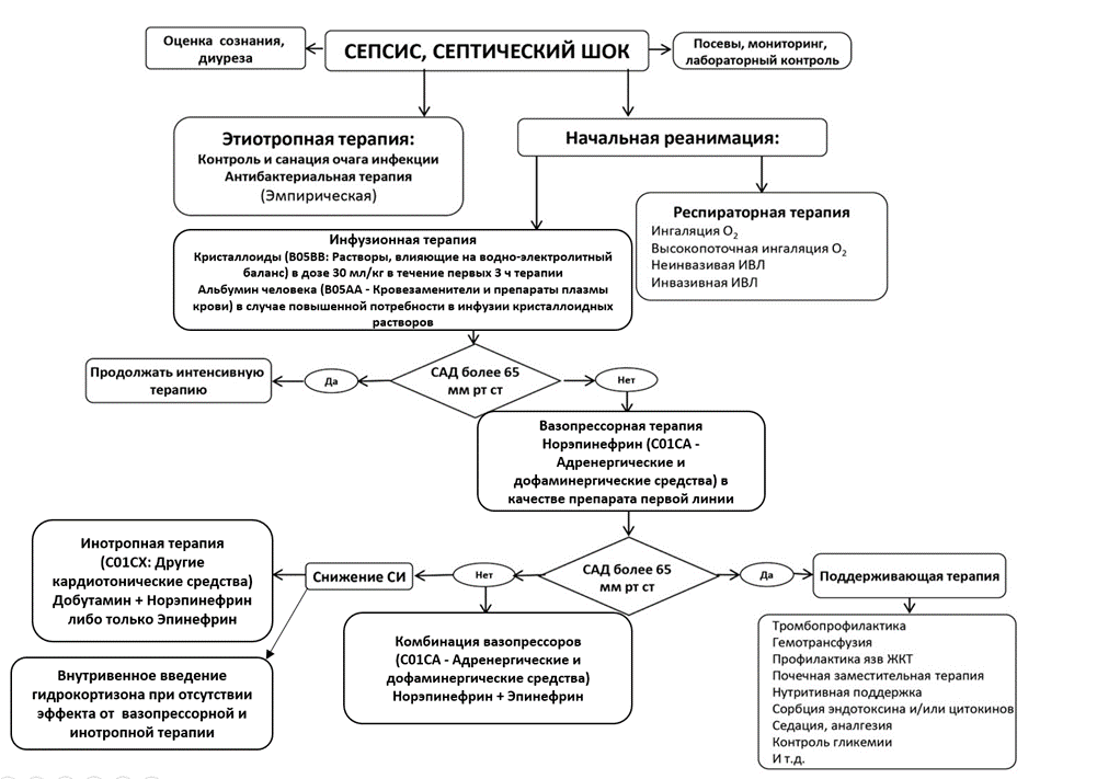 Иллюстрация из клинических рекомендаций