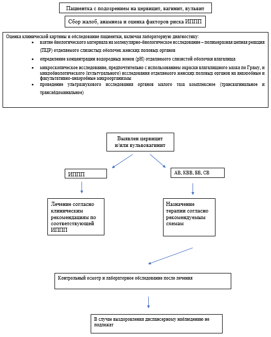 Иллюстрация из клинических рекомендаций